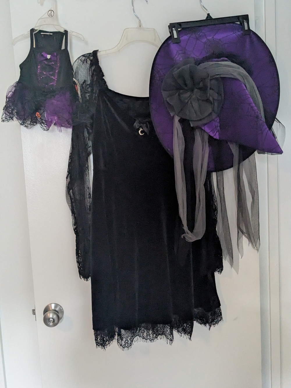 Witch Costume And Doggy Costume